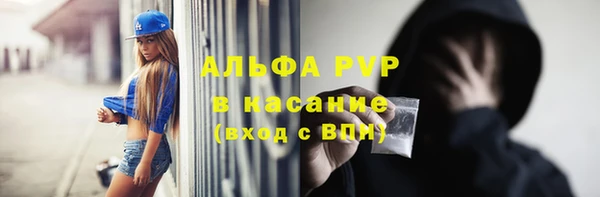 стаф Балахна
