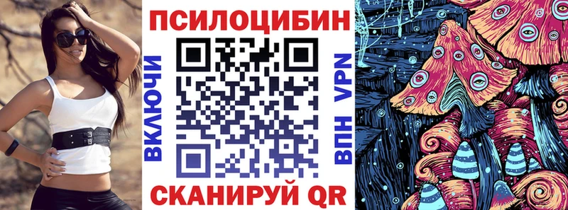 KRAKEN ССЫЛКА  что такое наркотик  Южно-Сухокумск  Псилоцибиновые грибы Cubensis 