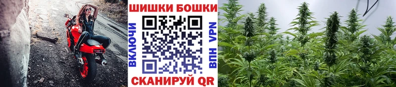 Канабис OG Kush  Южно-Сухокумск 